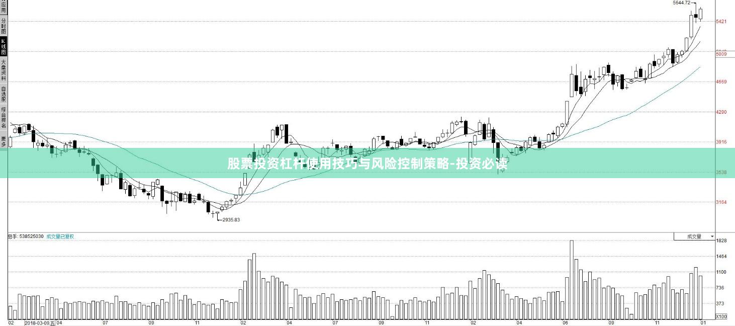 股票投资杠杆使用技巧与风险控制策略-投资必读