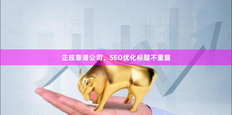 正规靠谱公司，SEO优化标题不重复